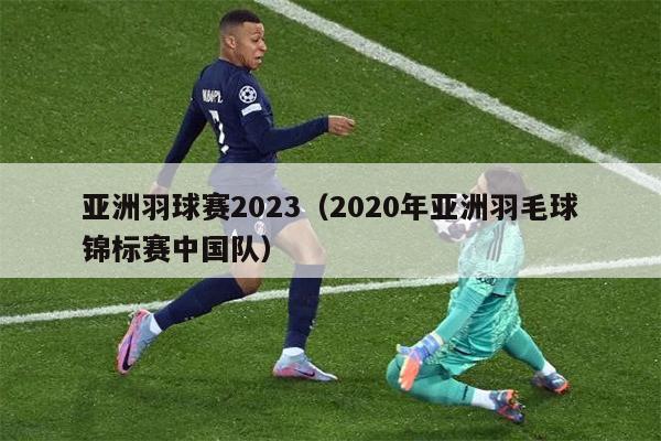 亚洲羽球赛2023（2020年亚洲羽毛球锦标赛中国队）