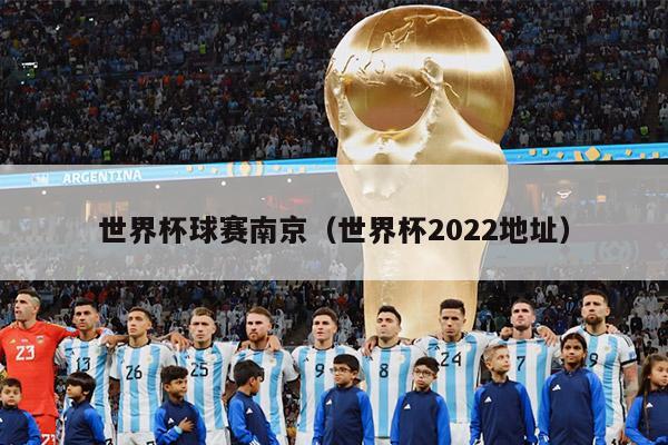 世界杯球赛南京（世界杯2022地址）