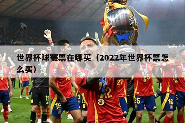 世界杯球赛票在哪买（2022年世界杯票怎么买）