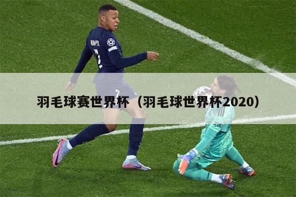 羽毛球赛世界杯（羽毛球世界杯2020）