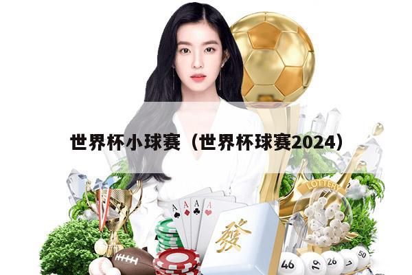 世界杯小球赛（世界杯球赛2024）