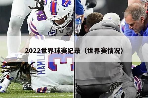 2022世界球赛纪录（世界赛情况）