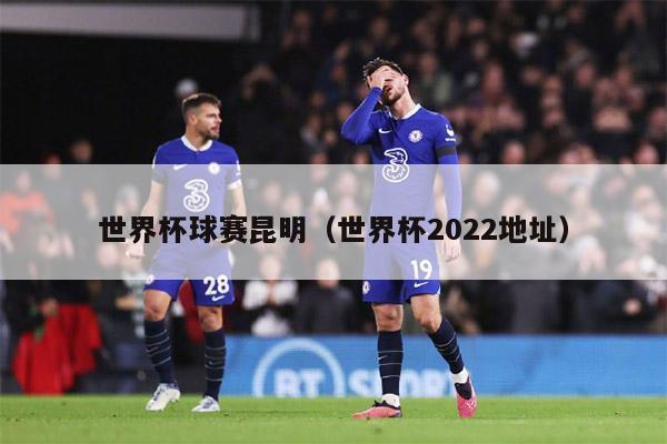 世界杯球赛昆明（世界杯2022地址）