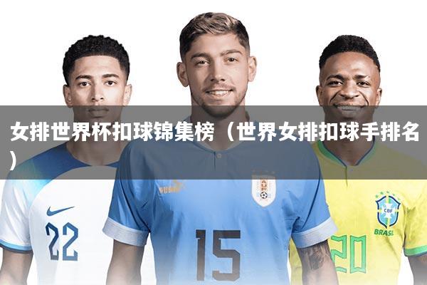 女排世界杯扣球锦集榜（世界女排扣球手排名）