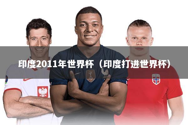 印度2011年世界杯（印度打进世界杯）