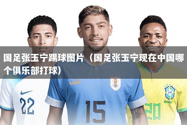 国足张玉宁踢球图片（国足张玉宁现在中国哪个俱乐部打球）