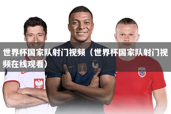 世界杯国家队射门视频（世界杯国家队射门视频在线观看）