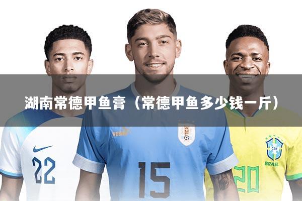 湖南常德甲鱼膏（常德甲鱼多少钱一斤）