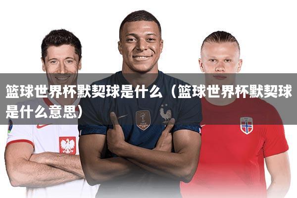 篮球世界杯默契球是什么（篮球世界杯默契球是什么意思）