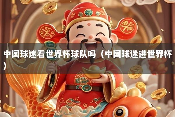中国球迷看世界杯球队吗（中国球迷进世界杯）