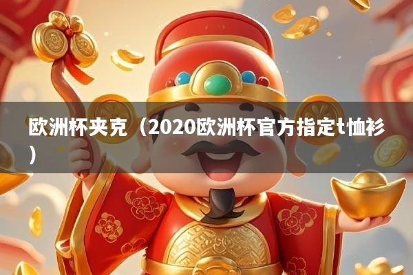 欧洲杯夹克（2020欧洲杯官方指定t恤衫）