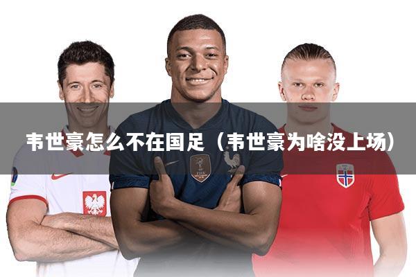 韦世豪怎么不在国足（韦世豪为啥没上场）