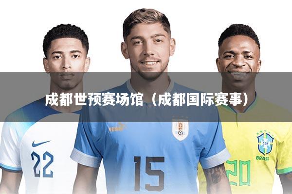 成都世预赛场馆（成都国际赛事）