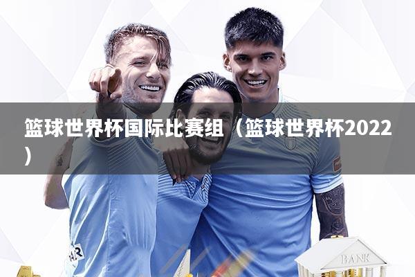 篮球世界杯国际比赛组（篮球世界杯2022）