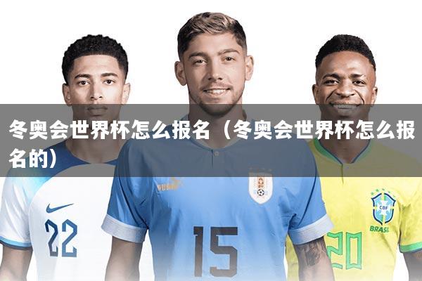 冬奥会世界杯怎么报名（冬奥会世界杯怎么报名的）