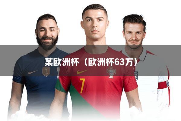 某欧洲杯（欧洲杯63万）