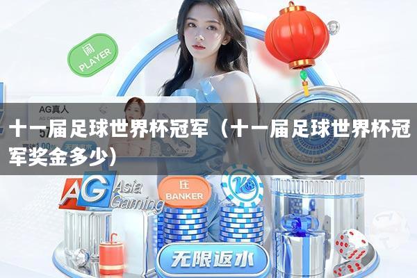 十一届足球世界杯冠军（十一届足球世界杯冠军奖金多少）