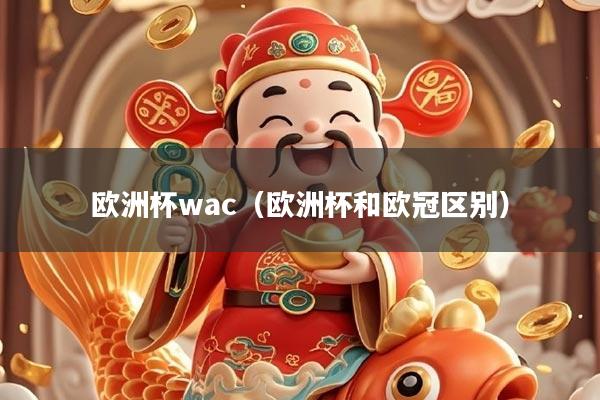 欧洲杯wac（欧洲杯和欧冠区别）