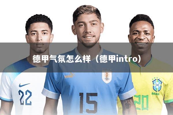 德甲气氛怎么样（德甲intro）