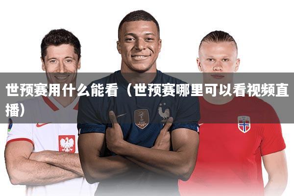 世预赛用什么能看（世预赛哪里可以看视频直播）