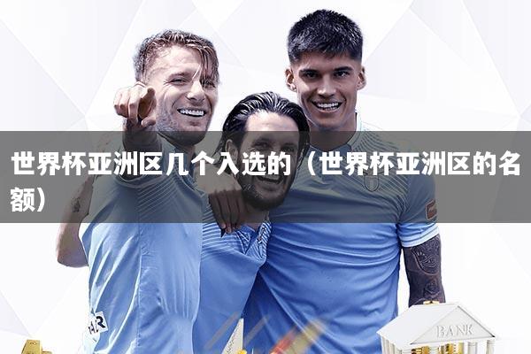 世界杯亚洲区几个入选的（世界杯亚洲区的名额）
