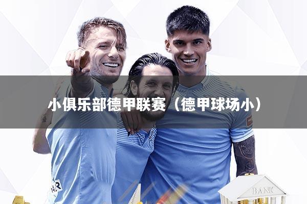 小俱乐部德甲联赛（德甲球场小）
