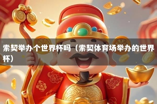 索契举办个世界杯吗（索契体育场举办的世界杯）