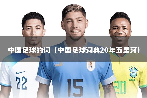 中国足球的词（中国足球词典20年五里河）