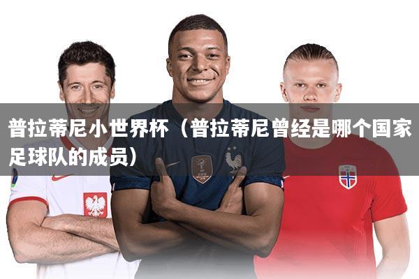 普拉蒂尼小世界杯（普拉蒂尼曾经是哪个国家足球队的成员）