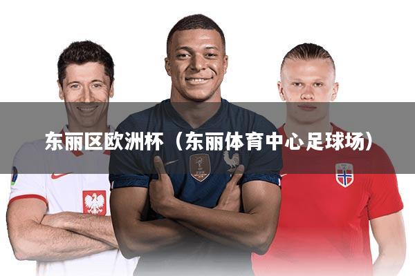 东丽区欧洲杯（东丽体育中心足球场）