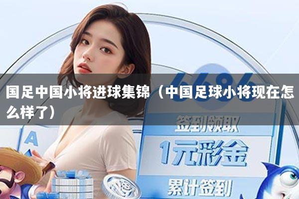 国足中国小将进球集锦（中国足球小将现在怎么样了）