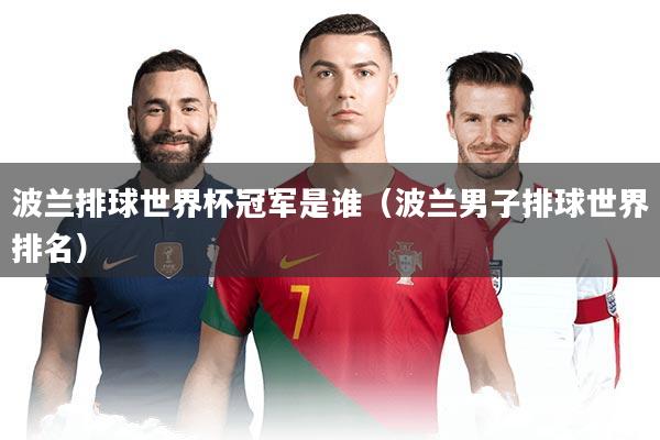 波兰排球世界杯冠军是谁（波兰男子排球世界排名）