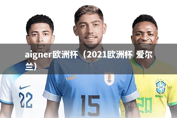 aigner欧洲杯（2021欧洲杯 爱尔兰）